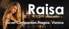 Partner Banners