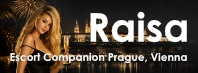 Partner Banners